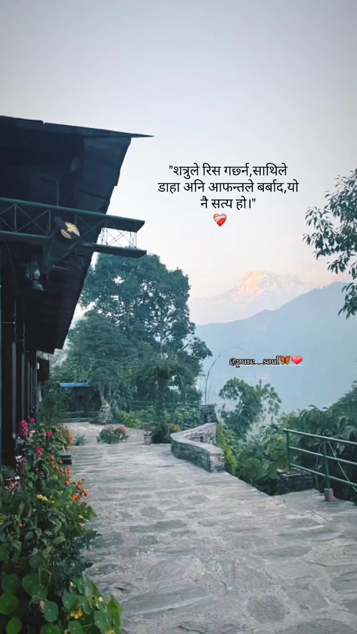 @pure__soul🦋❤️