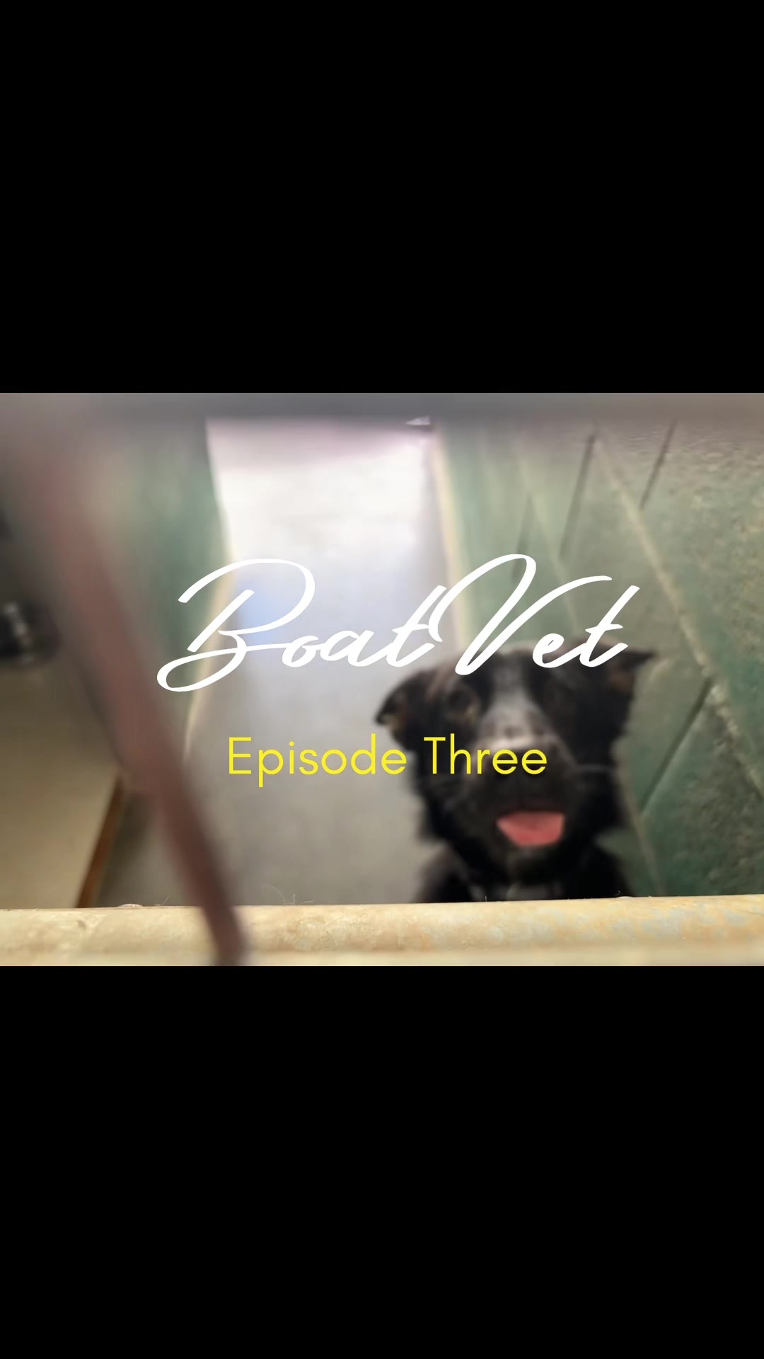 @BoatVet