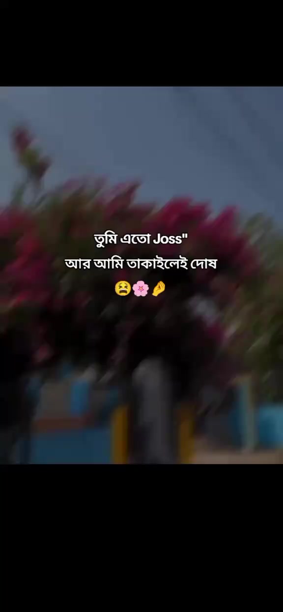@đĢ_PINIK VAI_đ