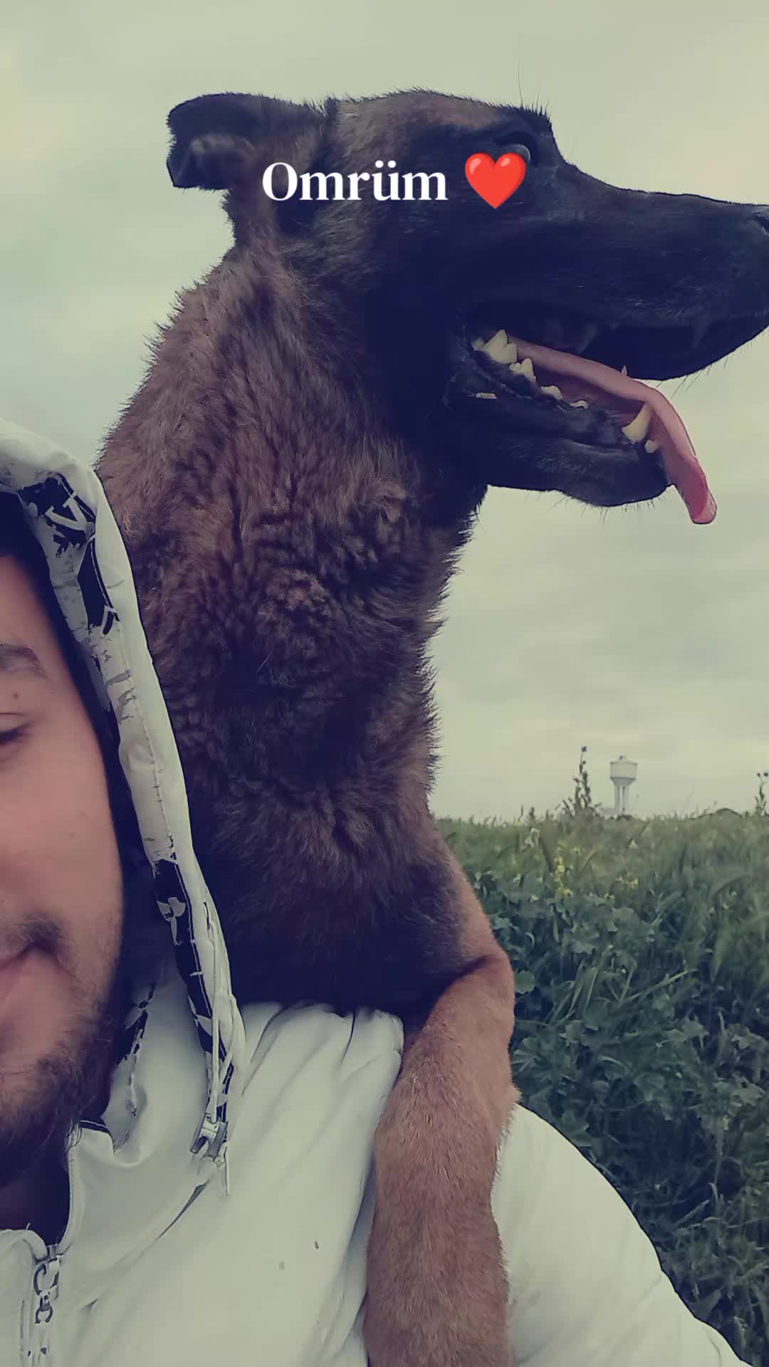 @Cizeer_kiva malinois k9 🐕🦺