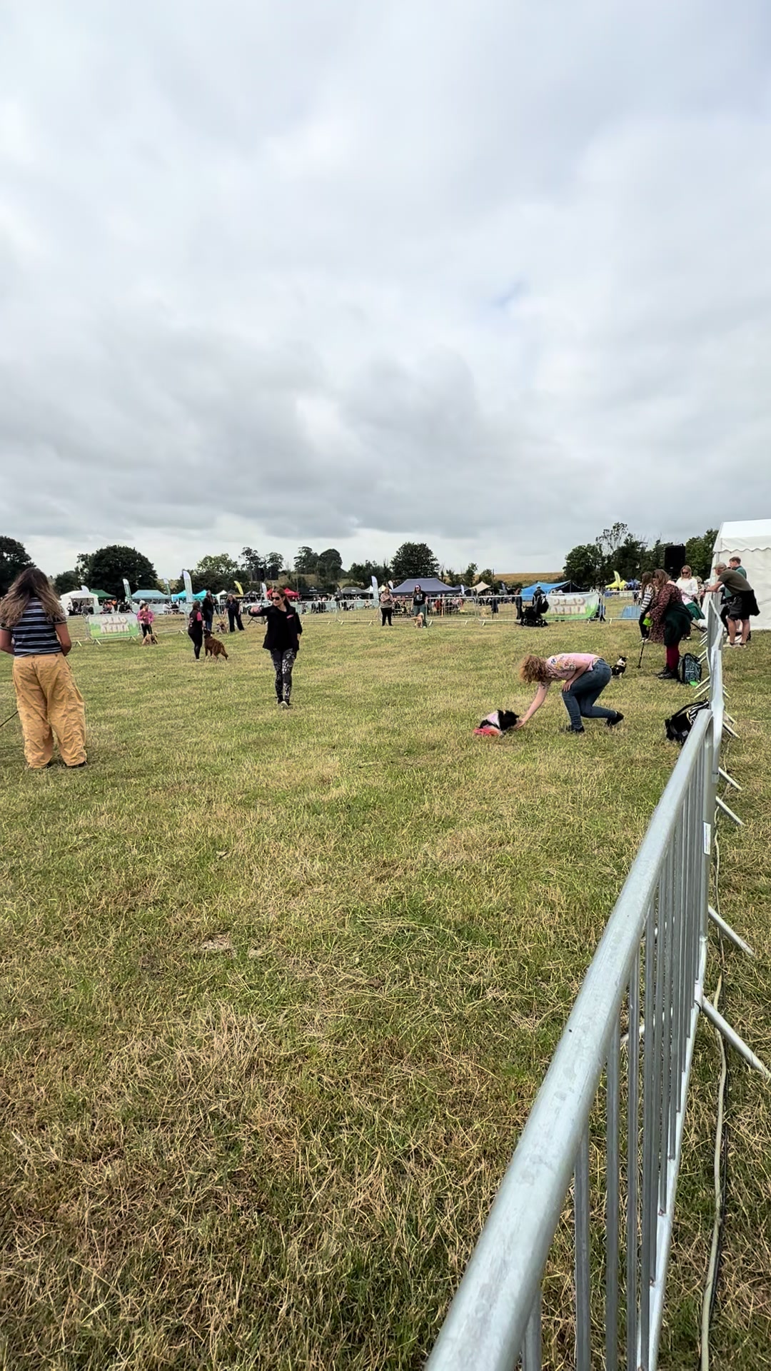 @northeastdogfestival