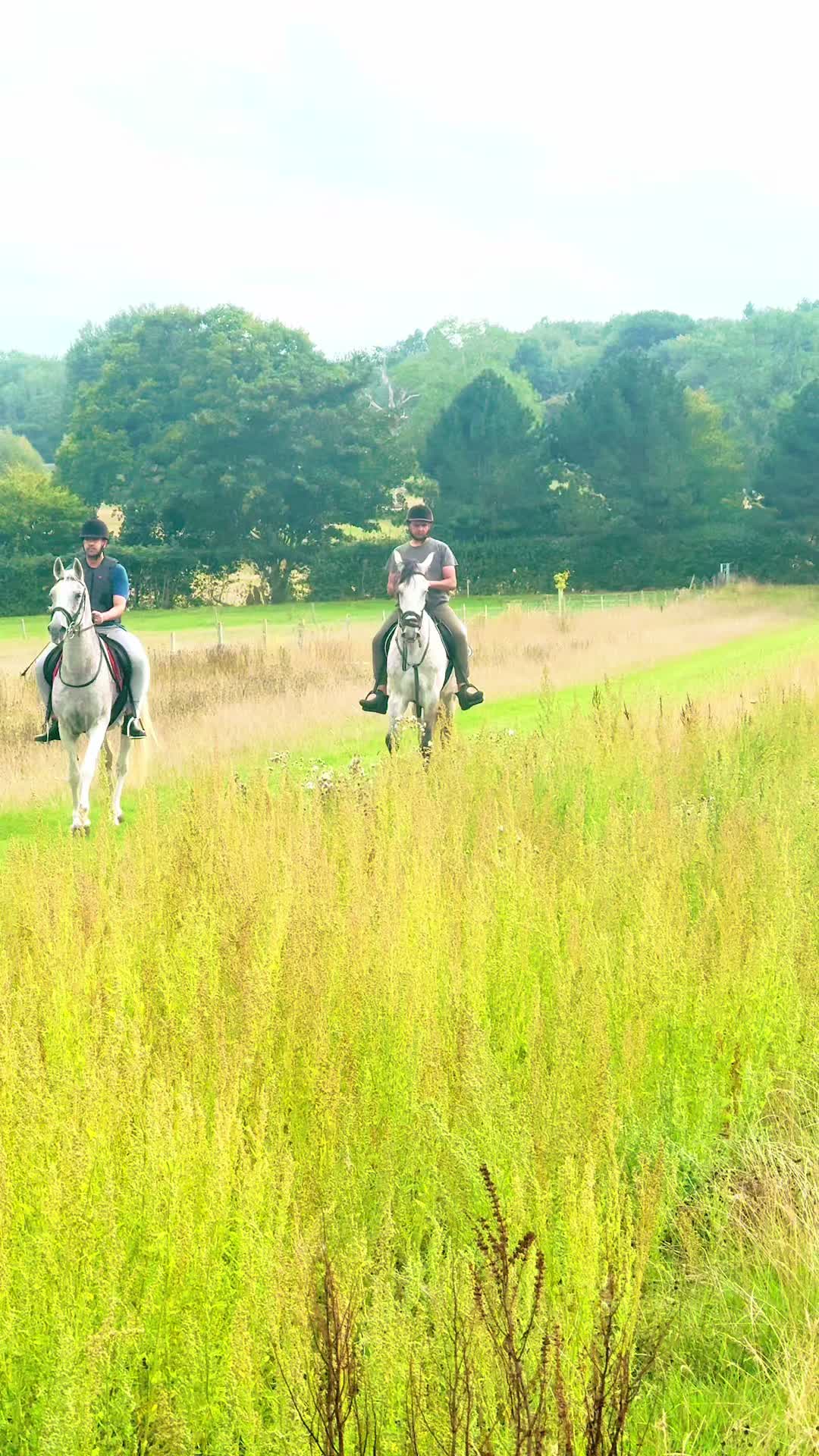 @Slough horses