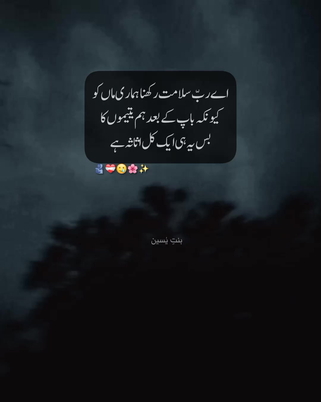 @𝟏𝟐 𝑴𝒂𝒓𝒄𝒉 ❤️🩹