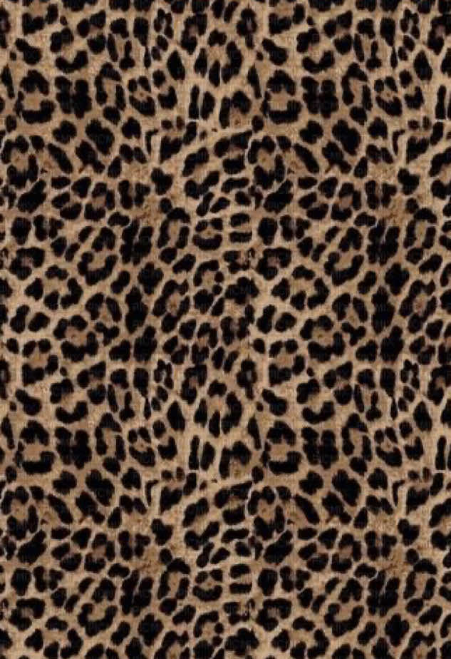 @💗࡛ an̄iya̱h⊹ 🐆