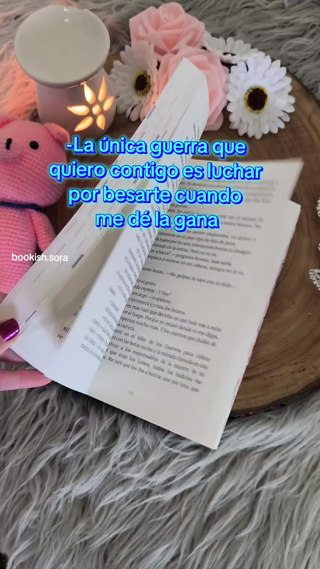 @Sora Bookish