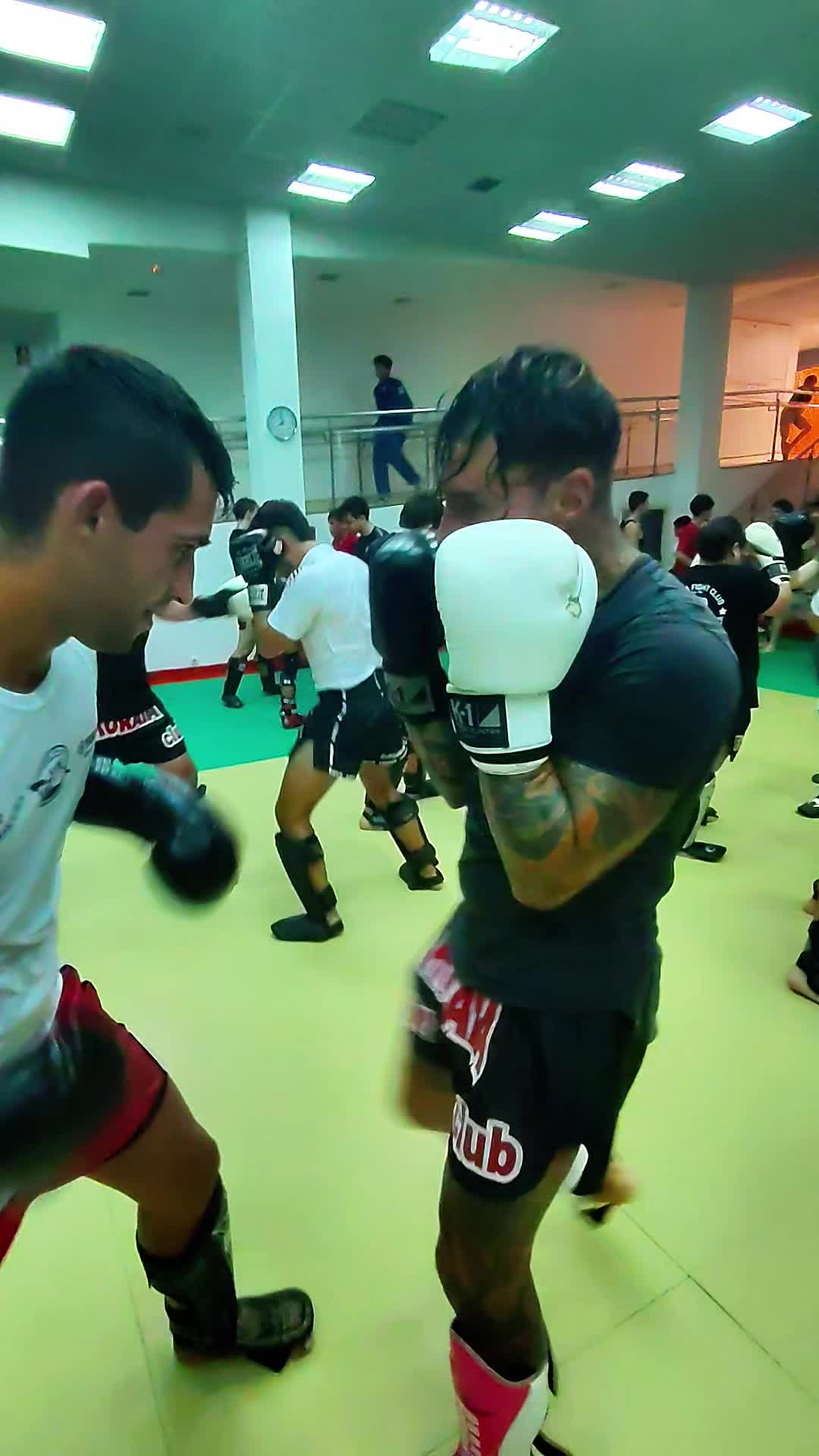 @kuraia kickboxing.Donosti