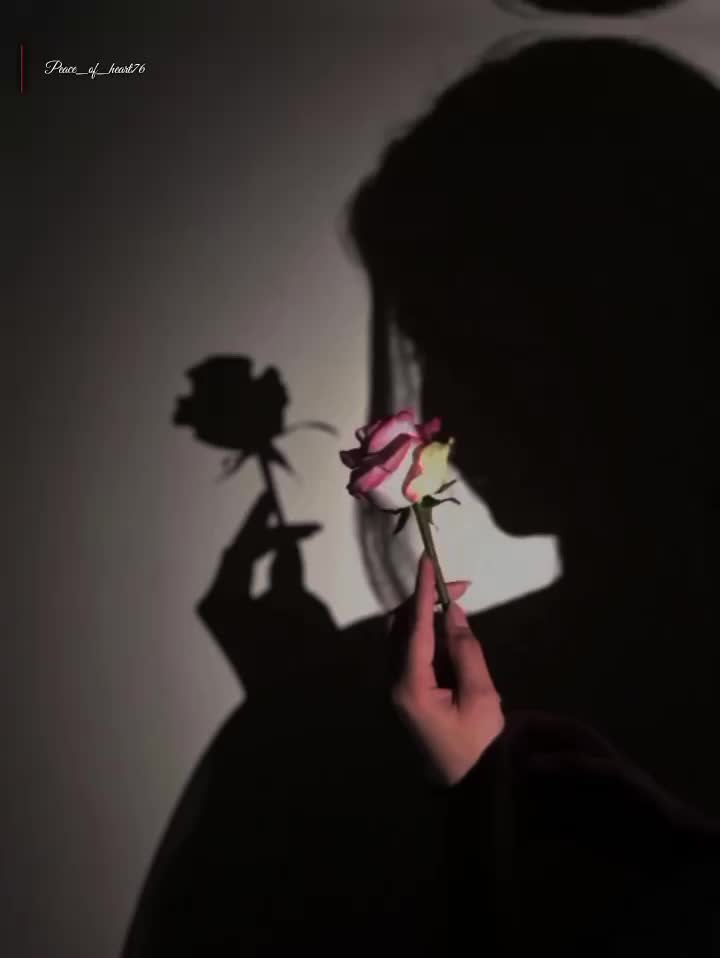 @🌺 سکونِ قلب 🥀📚✨