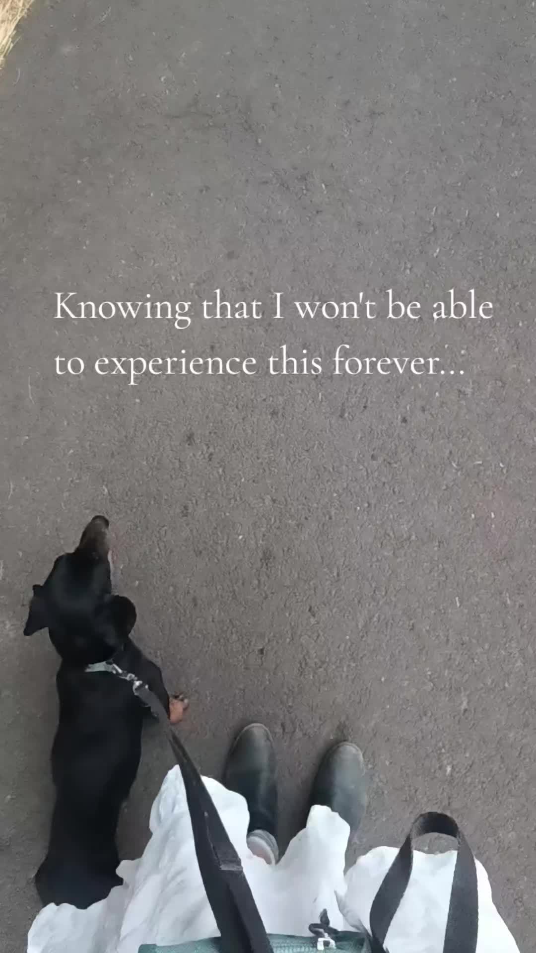 @𝒮𝒾𝓁𝓀 𝓀𝒾𝓉𝓉𝑒𝓃 🩷🐈&zwj;⬛🪽