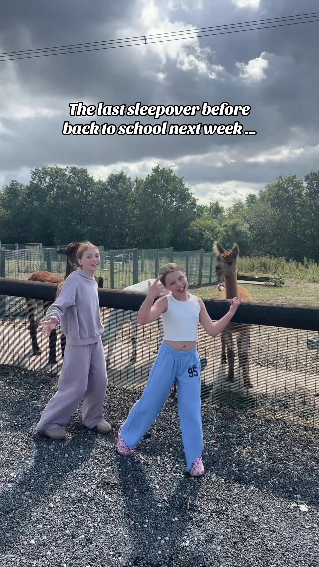 @JodePhoebePennyLuca❤️