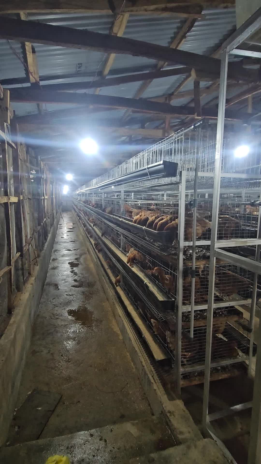 @thetri farms
