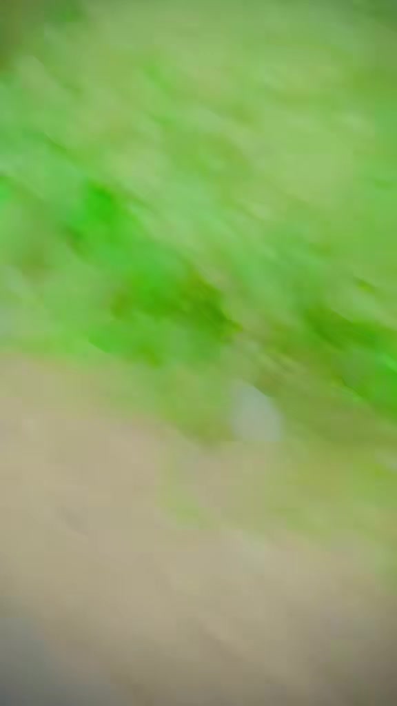 @Adi_ChauDhry🦅