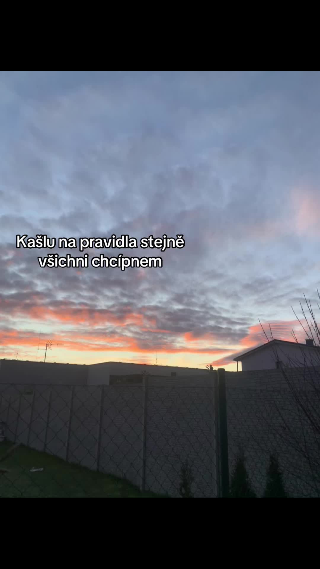 @Chcipni