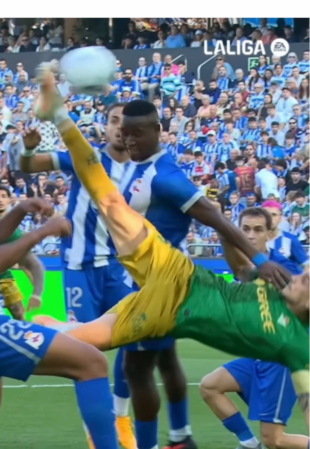 @Real Betis Balompié