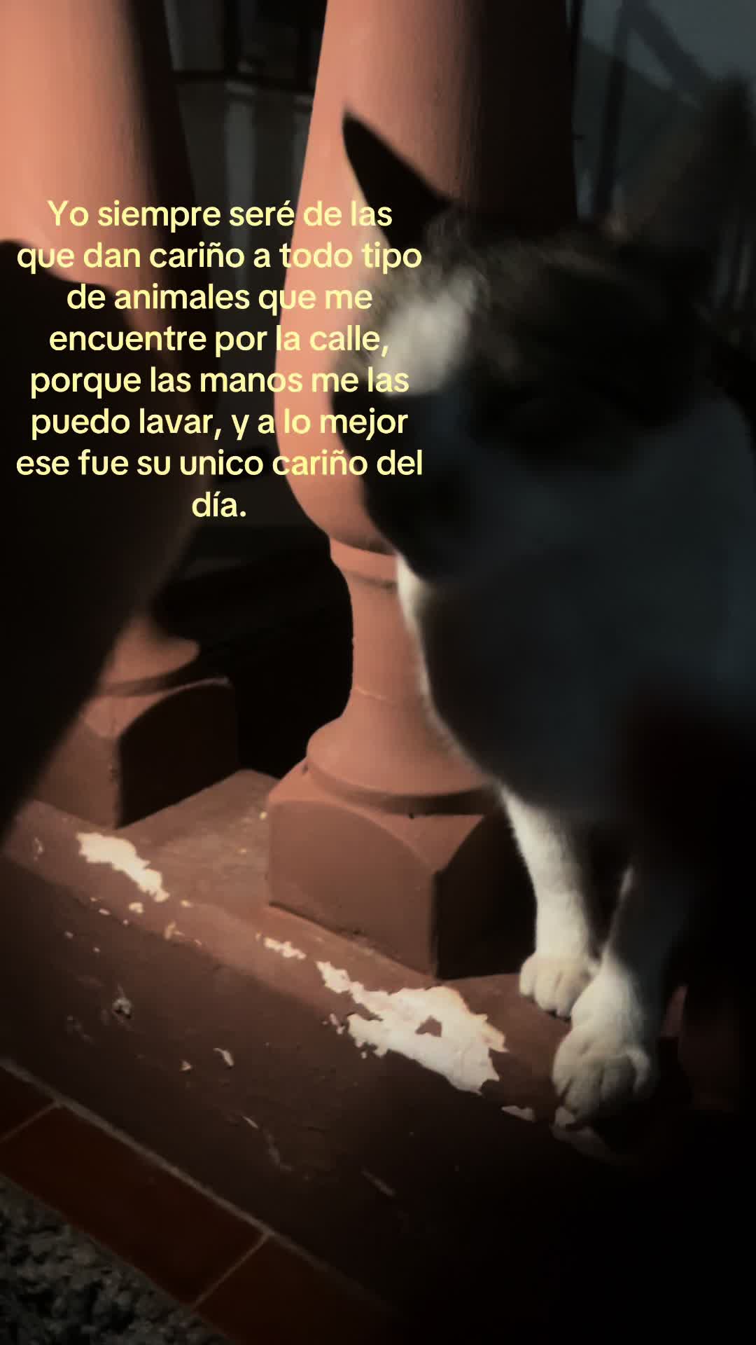 @😹noosabesssqnsoyyy