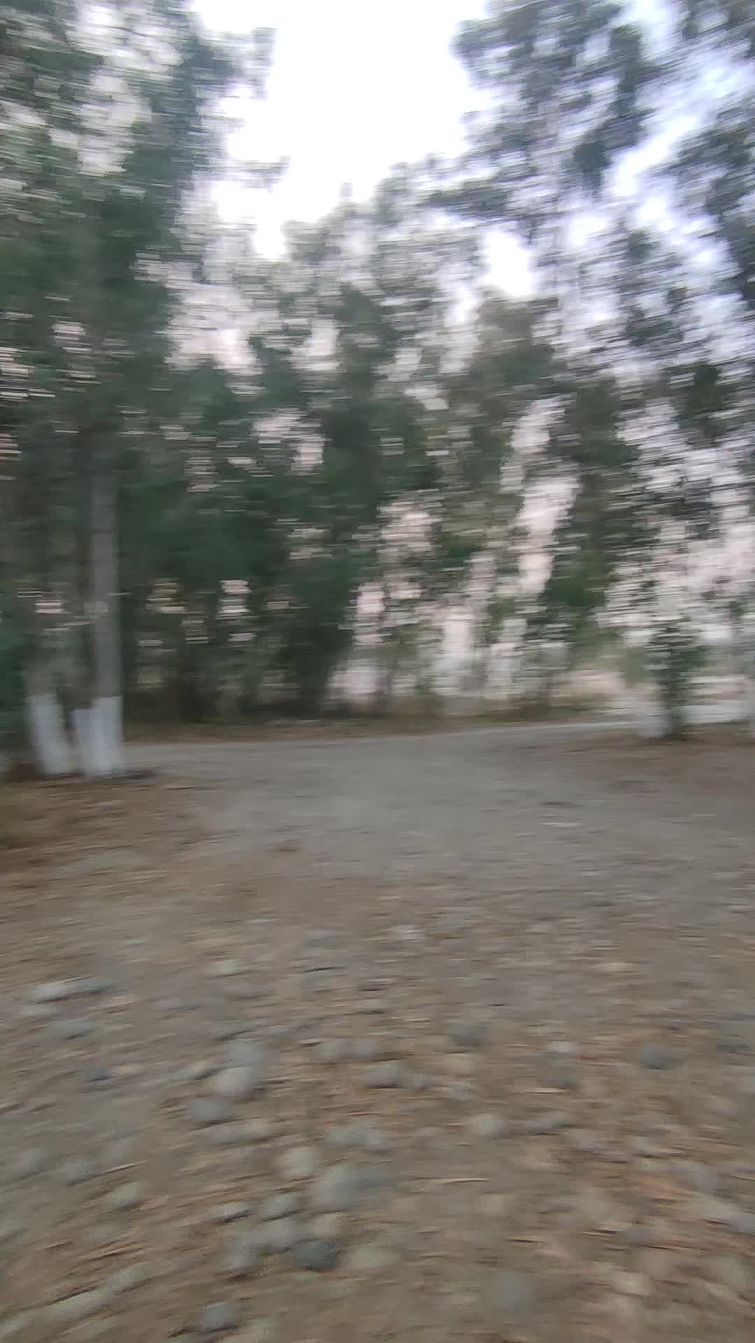 @kaliwala jenai