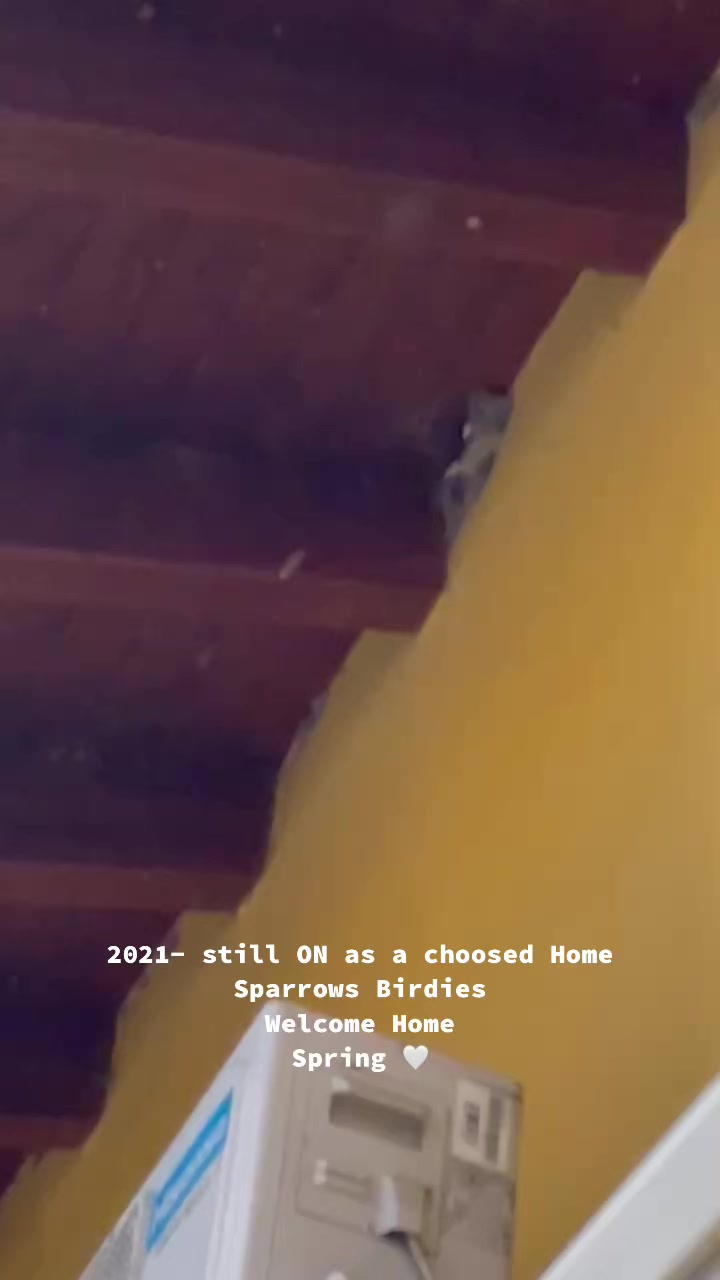 @world12moon