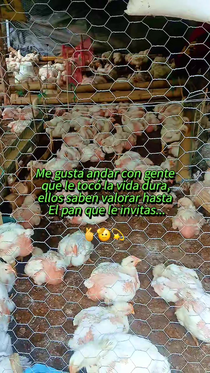 @Isabel ch&aacute;vez