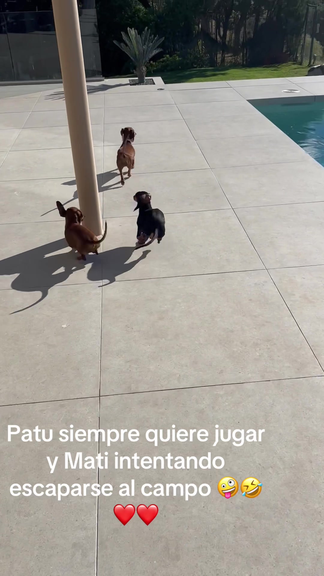 @patushiiiii
