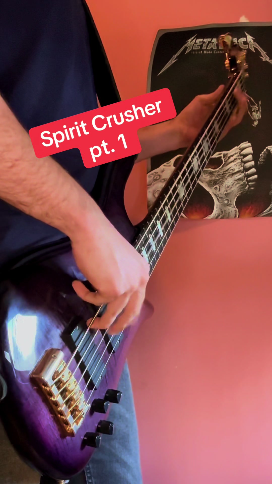 @Bass Player