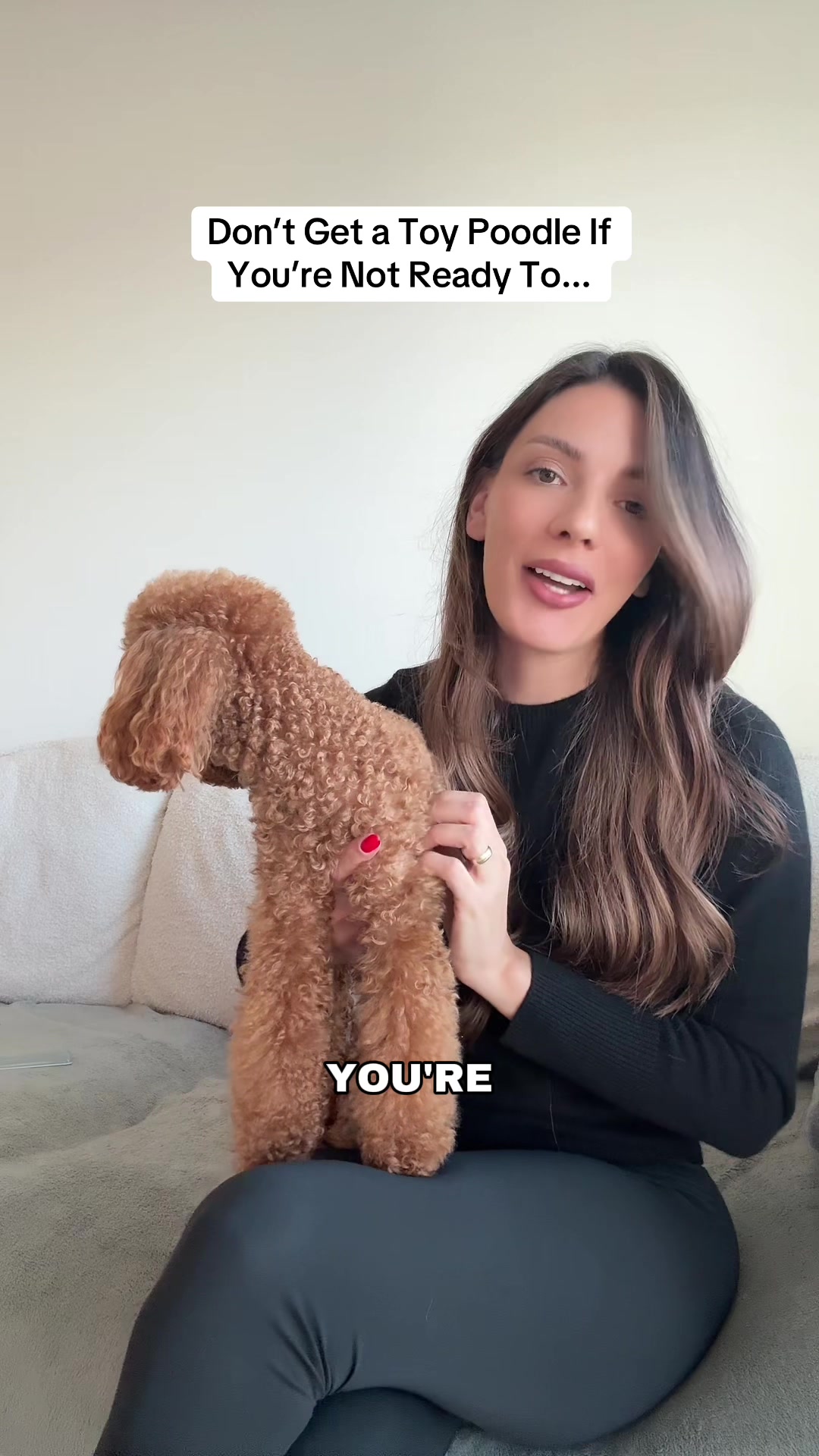 @Two & A Half Poodles | Dog Mom