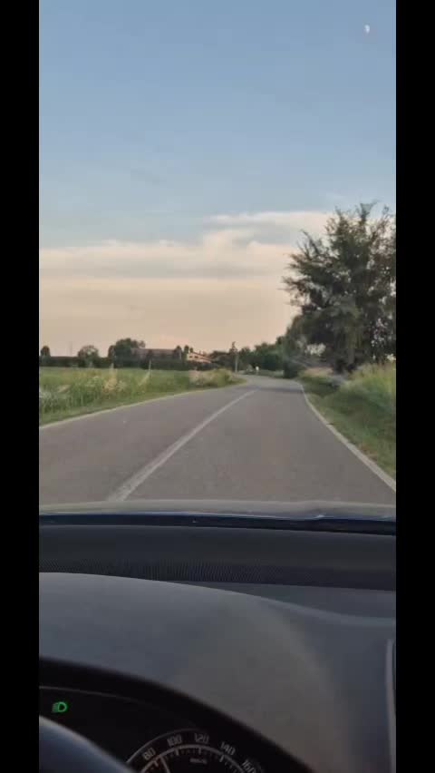 @michele salvatore