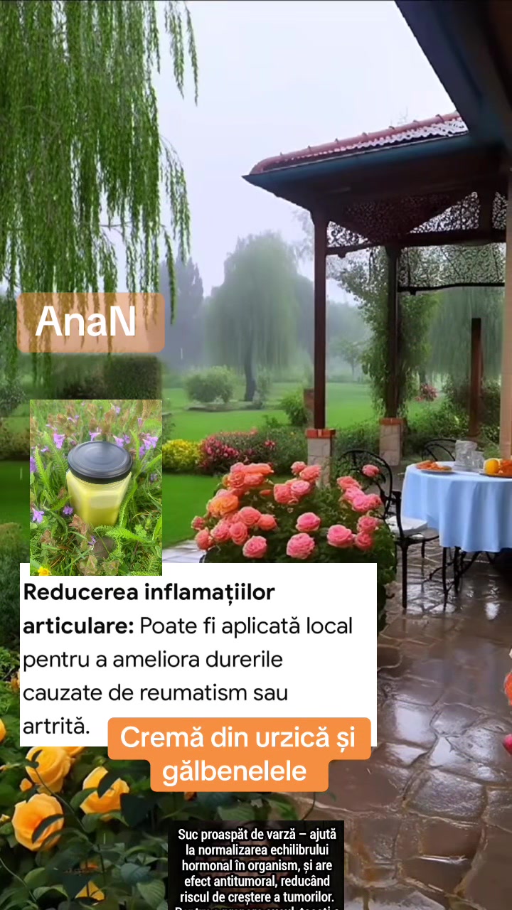 @Ana-N.