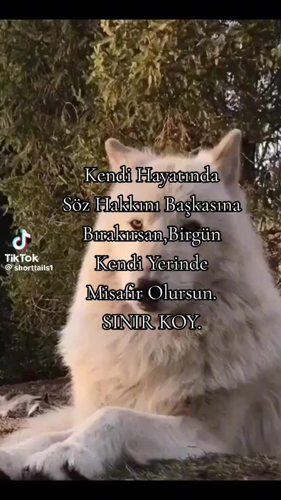 @Hidayet 20