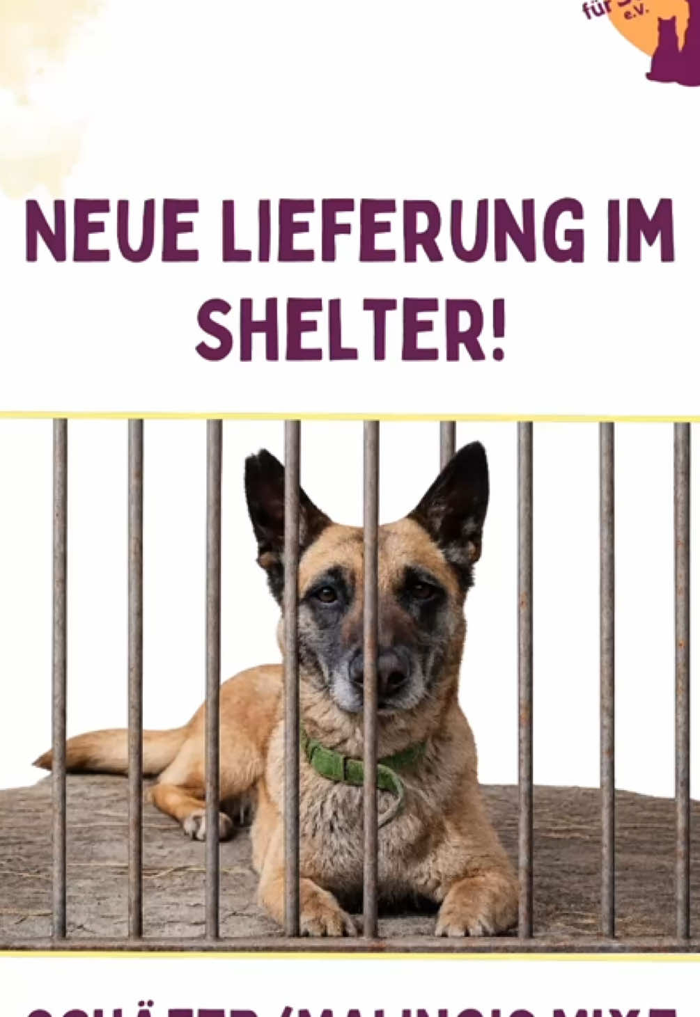 @Ein Herz für Streuner e.V.