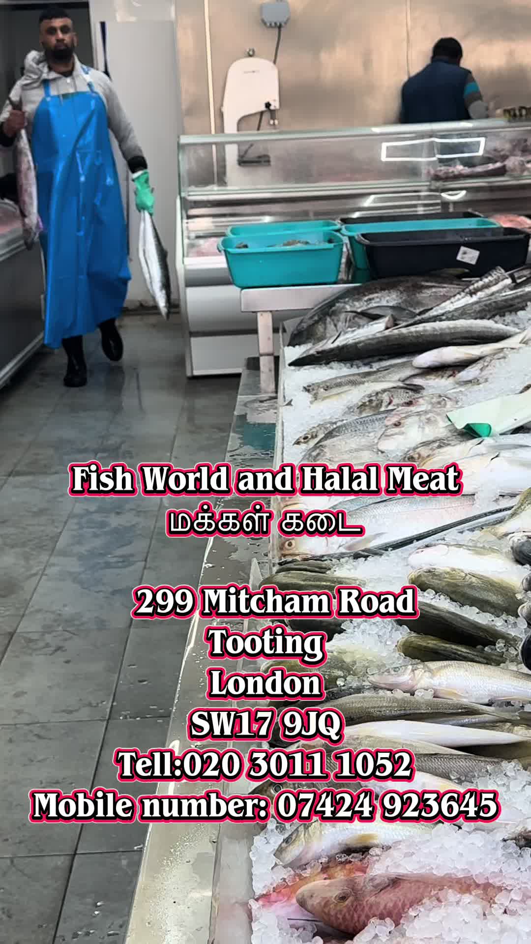 @Fishworld and Halal Meat