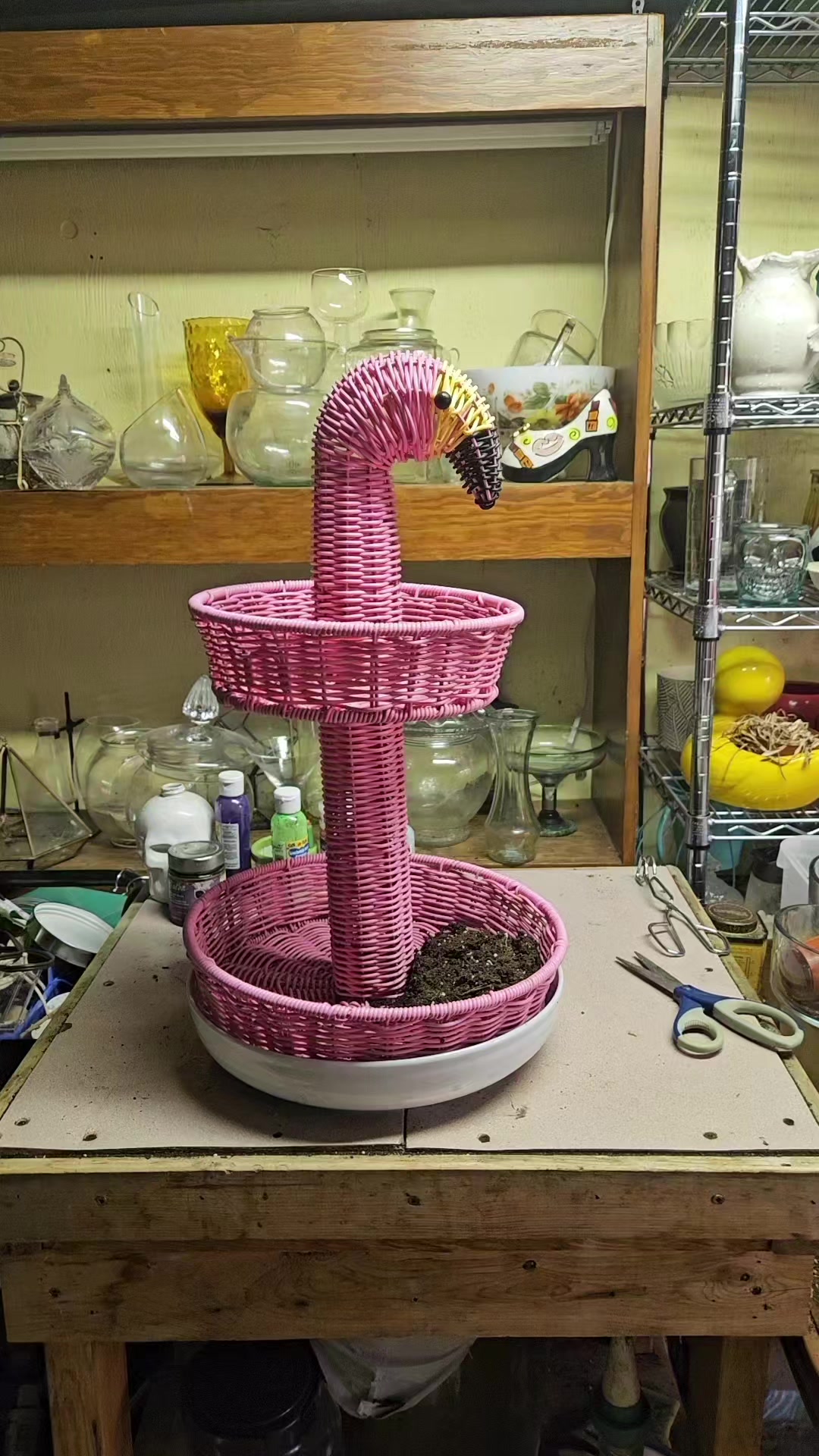 @Saskieplantgal 🇨🇦