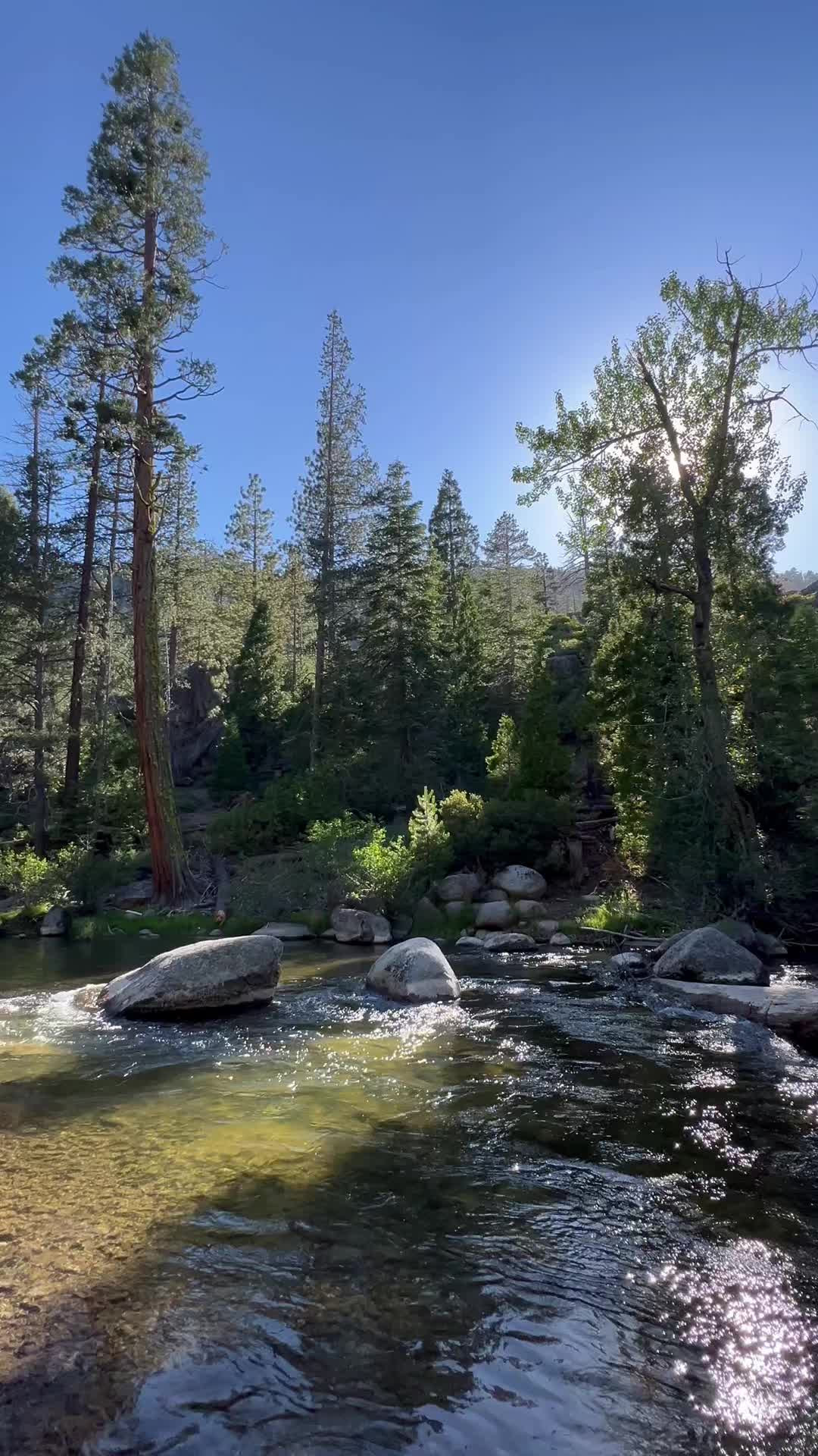 @trailfairy