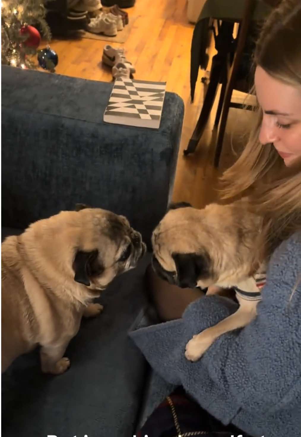 @DaisyGurl&Friends