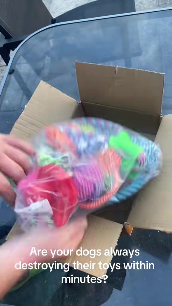 @DaNiMiTe🧨