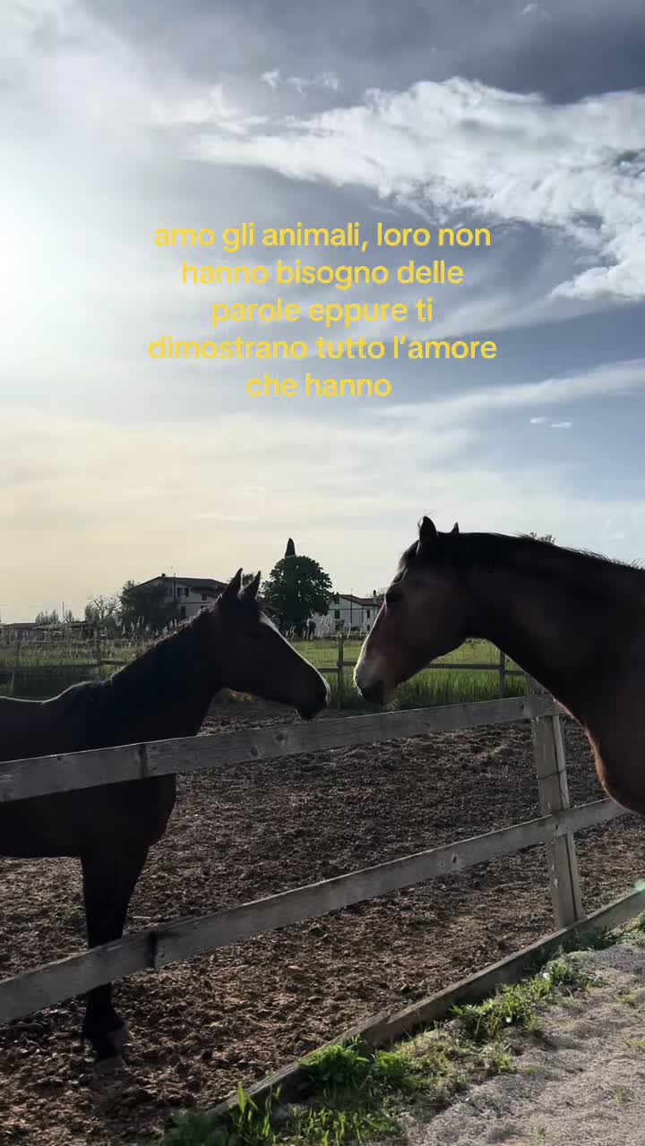 @ali👸🏻