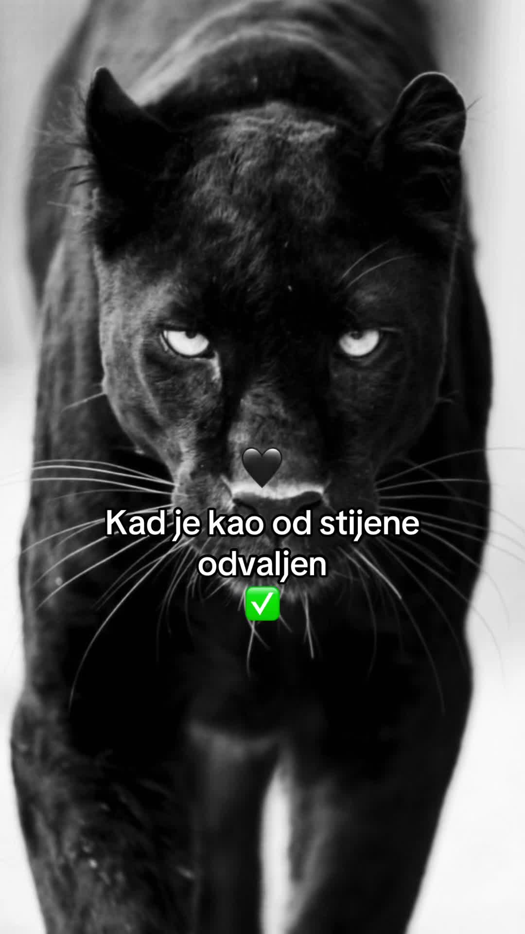 @🖤ŽENA PROBLEM🖤