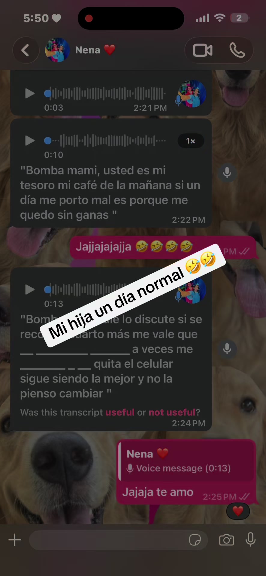@Danicxa