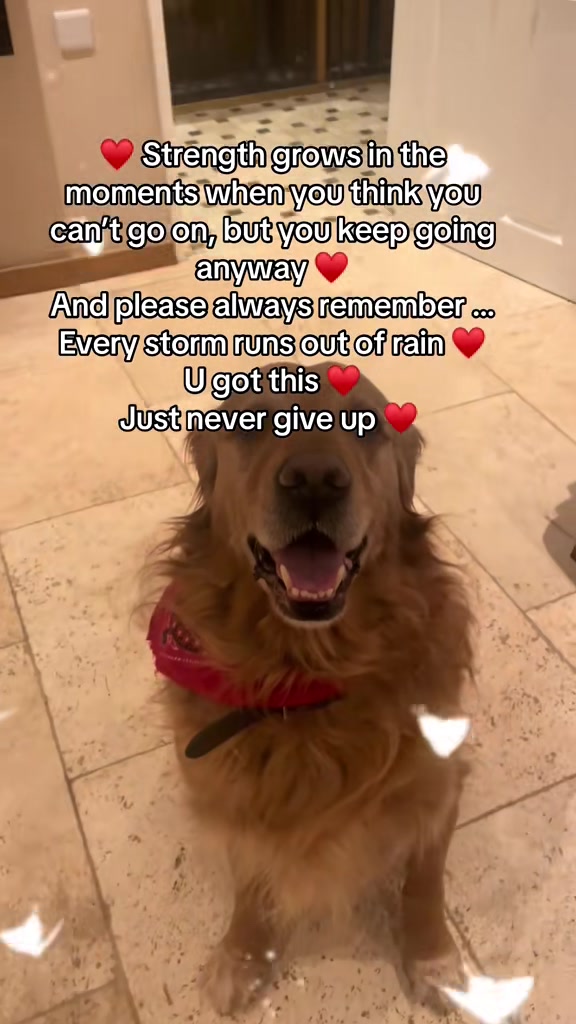 @Happy buddy