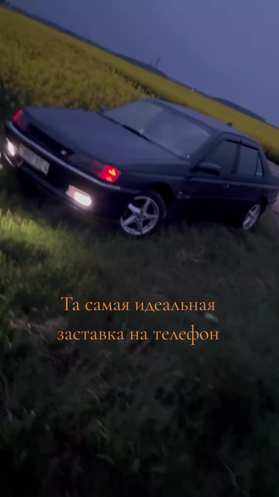 @Шуруп