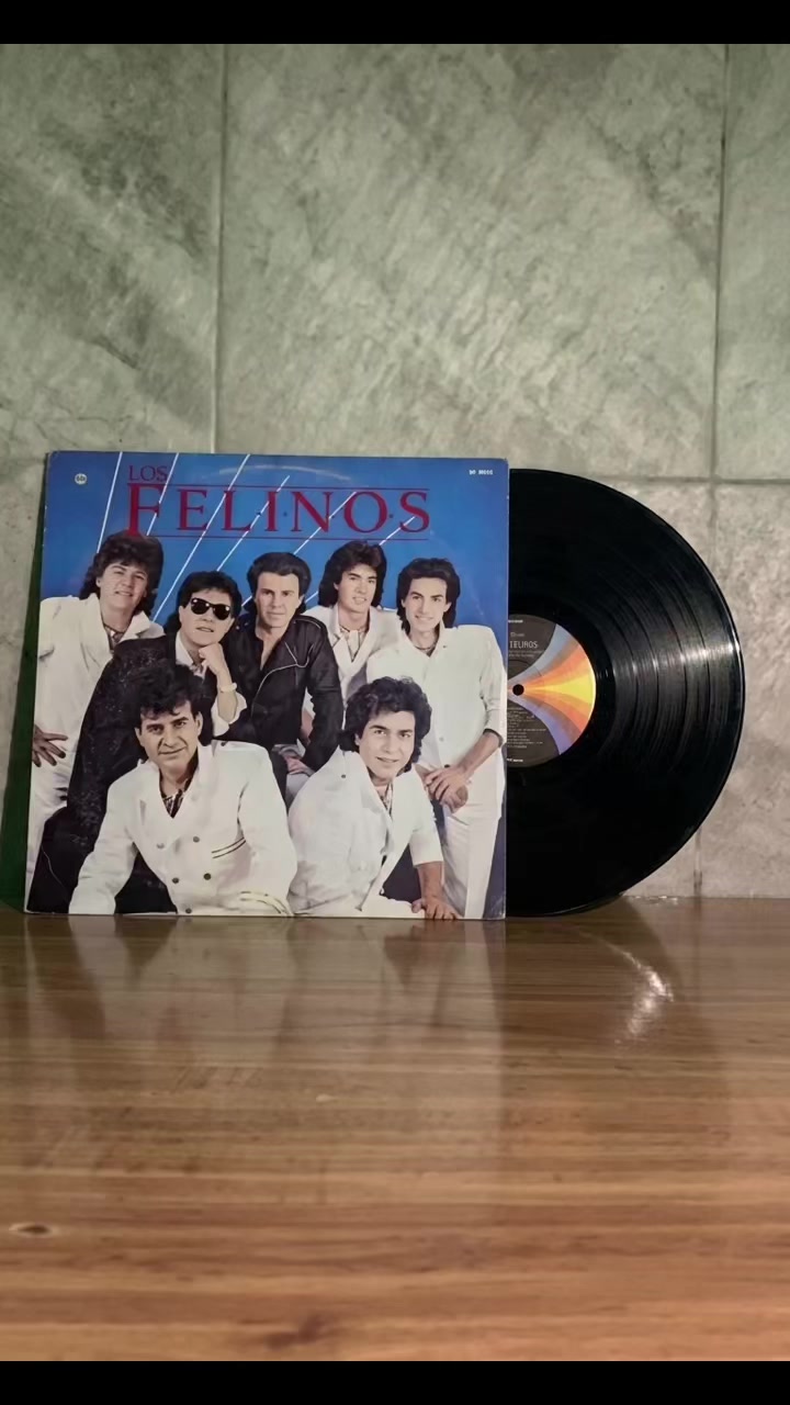 @Discos Vinil Reyes