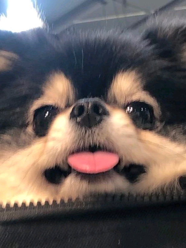 @โโ๐๐ข_๐๐๐_๐๐๐โโ