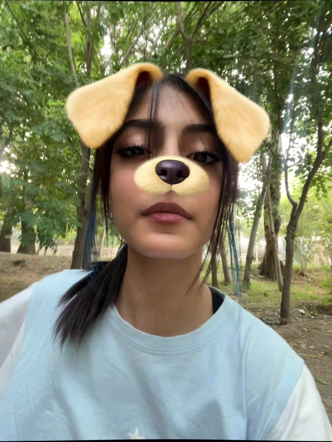 @Taranom