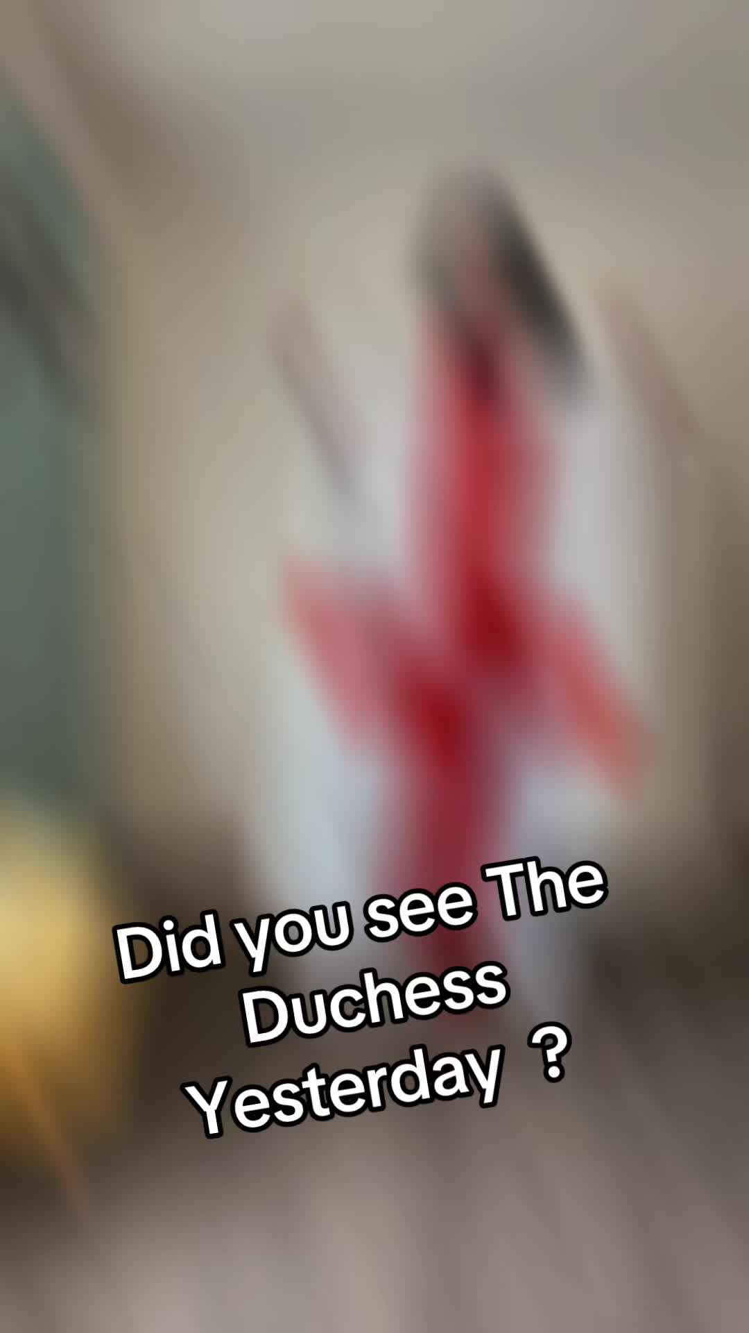 @theduchessladykitty