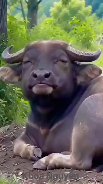 @Raj kumar_1