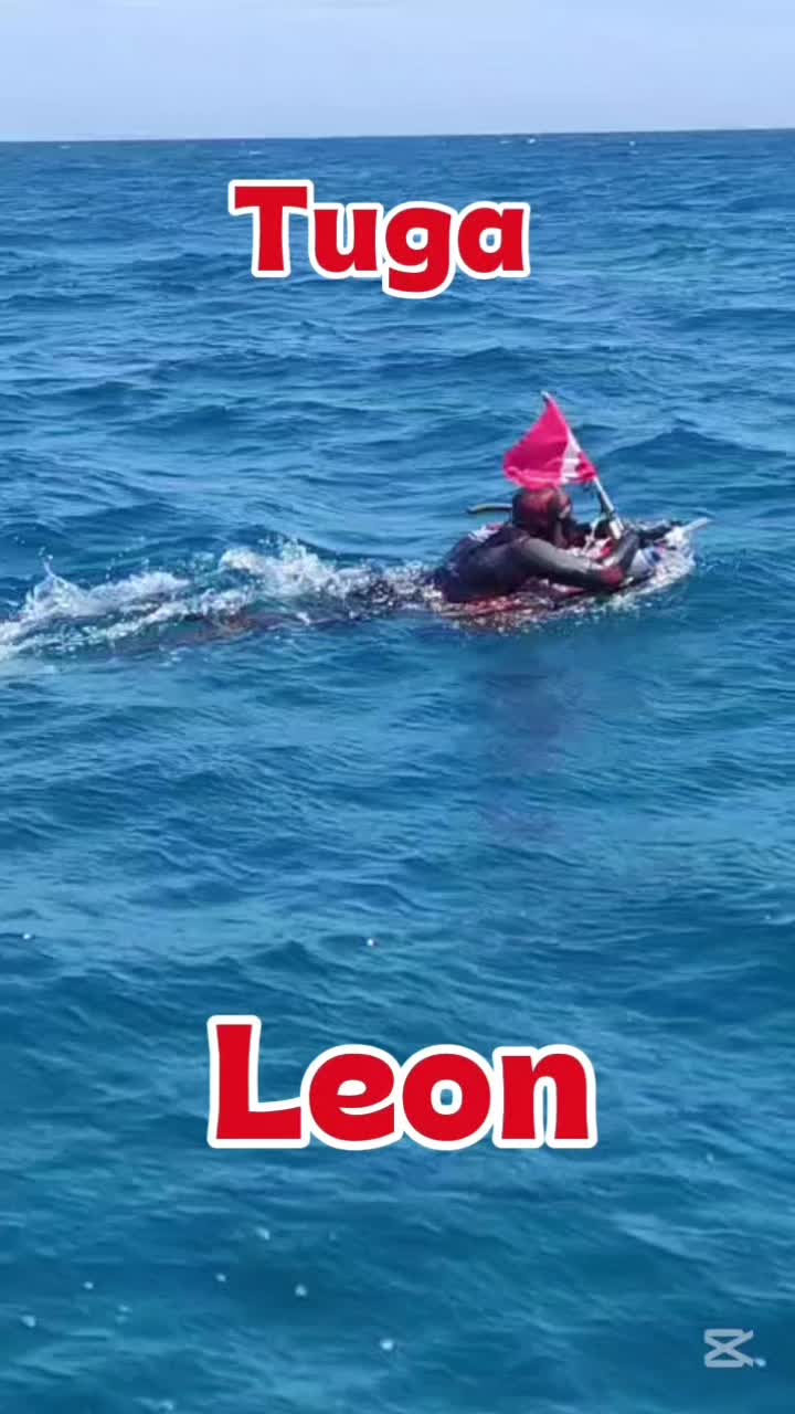 @seahawksub