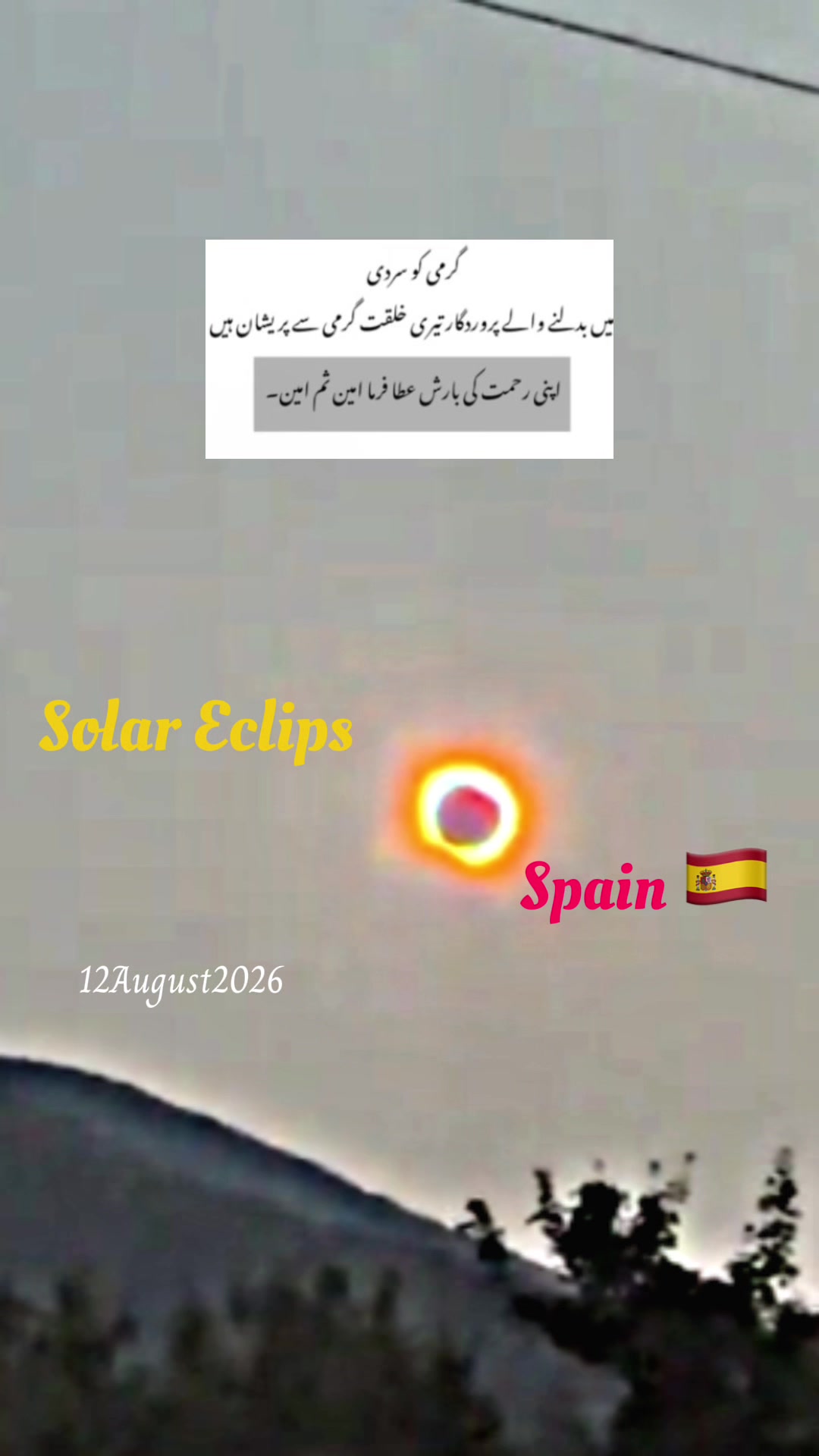 @Dr Sana 4696