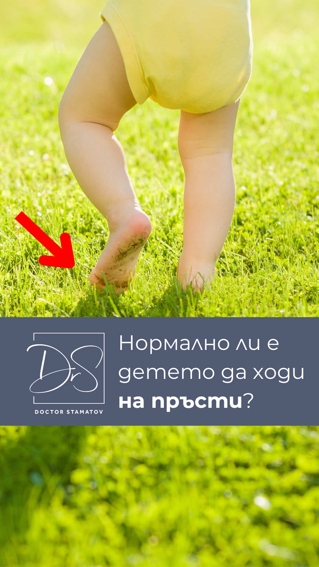 @Д-р Димитър Стаматов