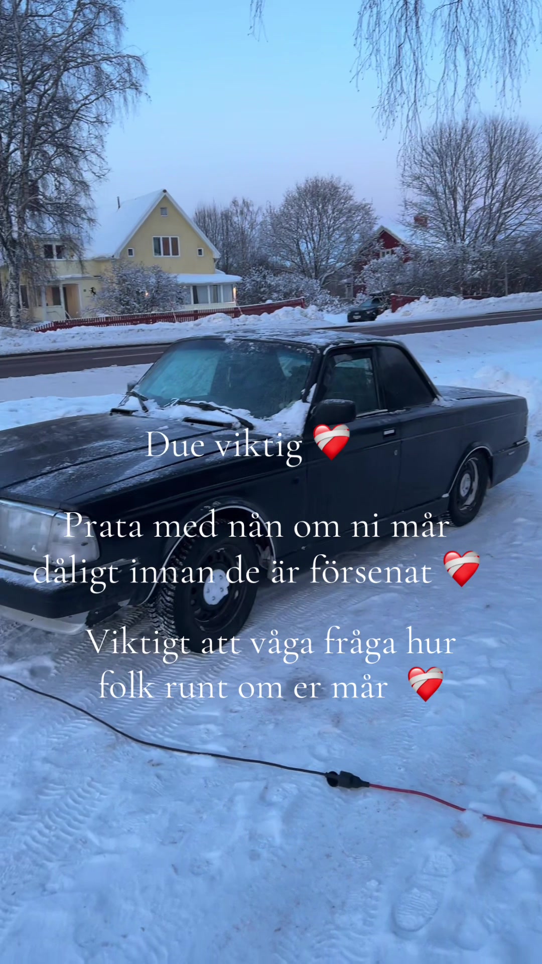 @dexter_gustafsson12