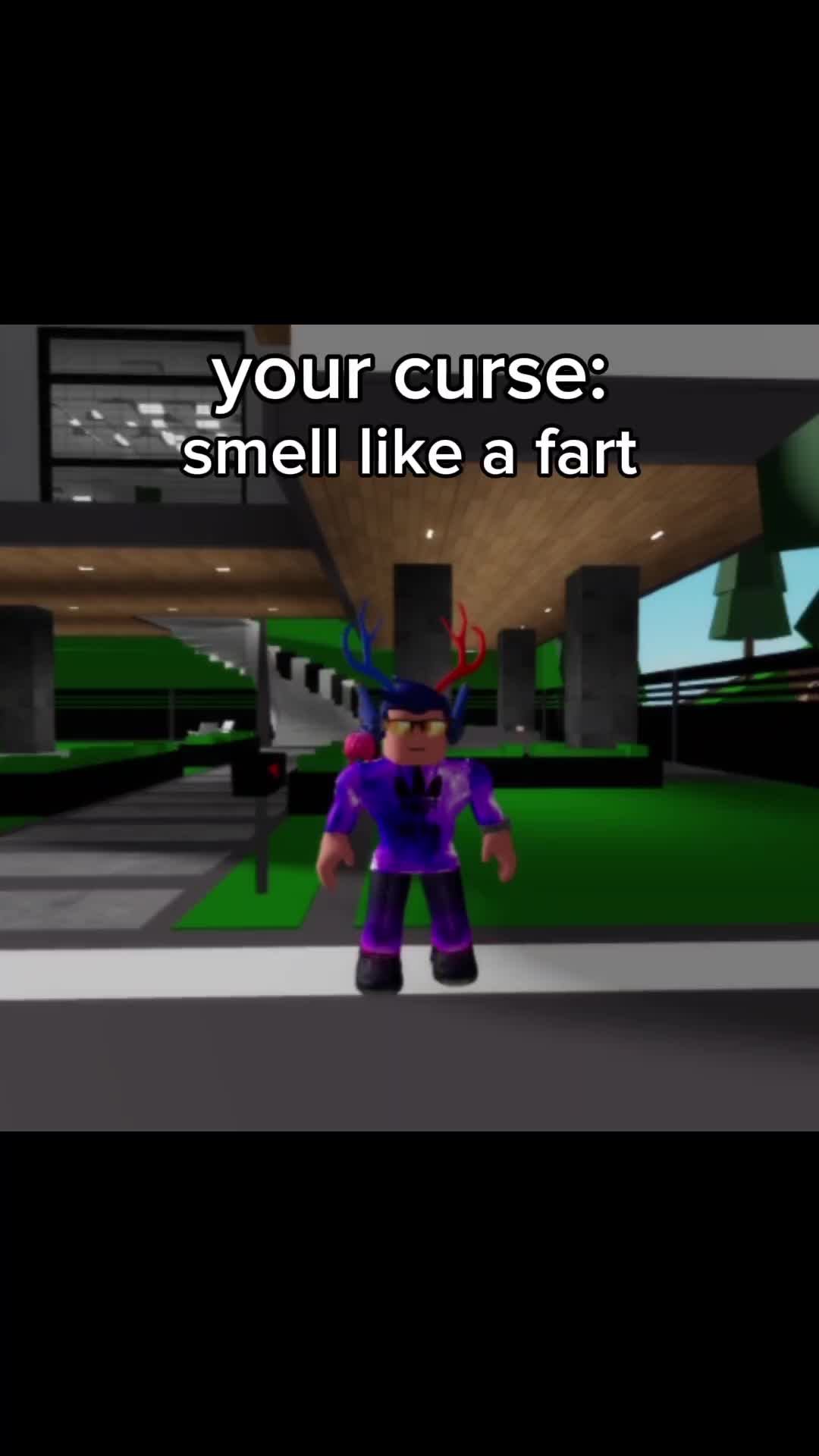 @miguel_2019