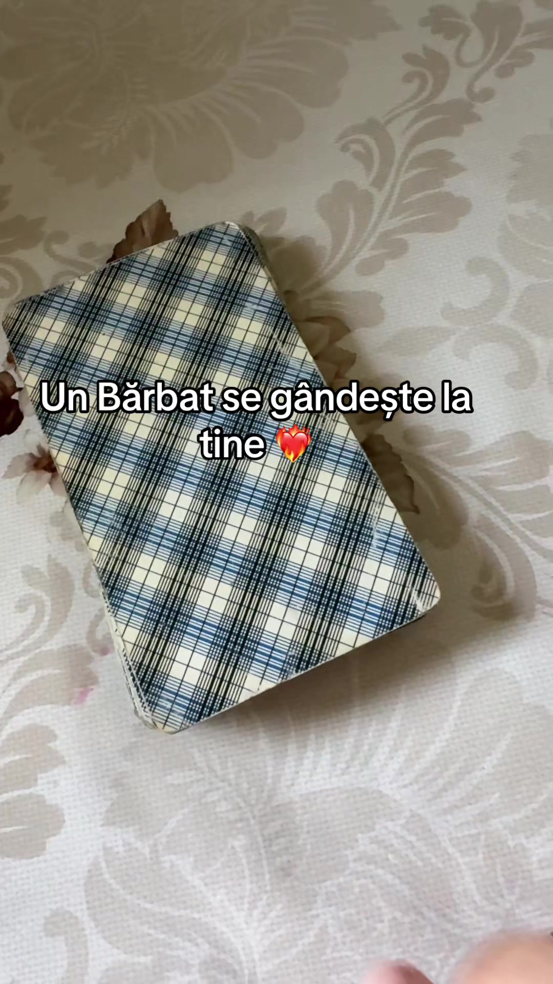 @🥀Tamaduitoarea Denysa 🔮