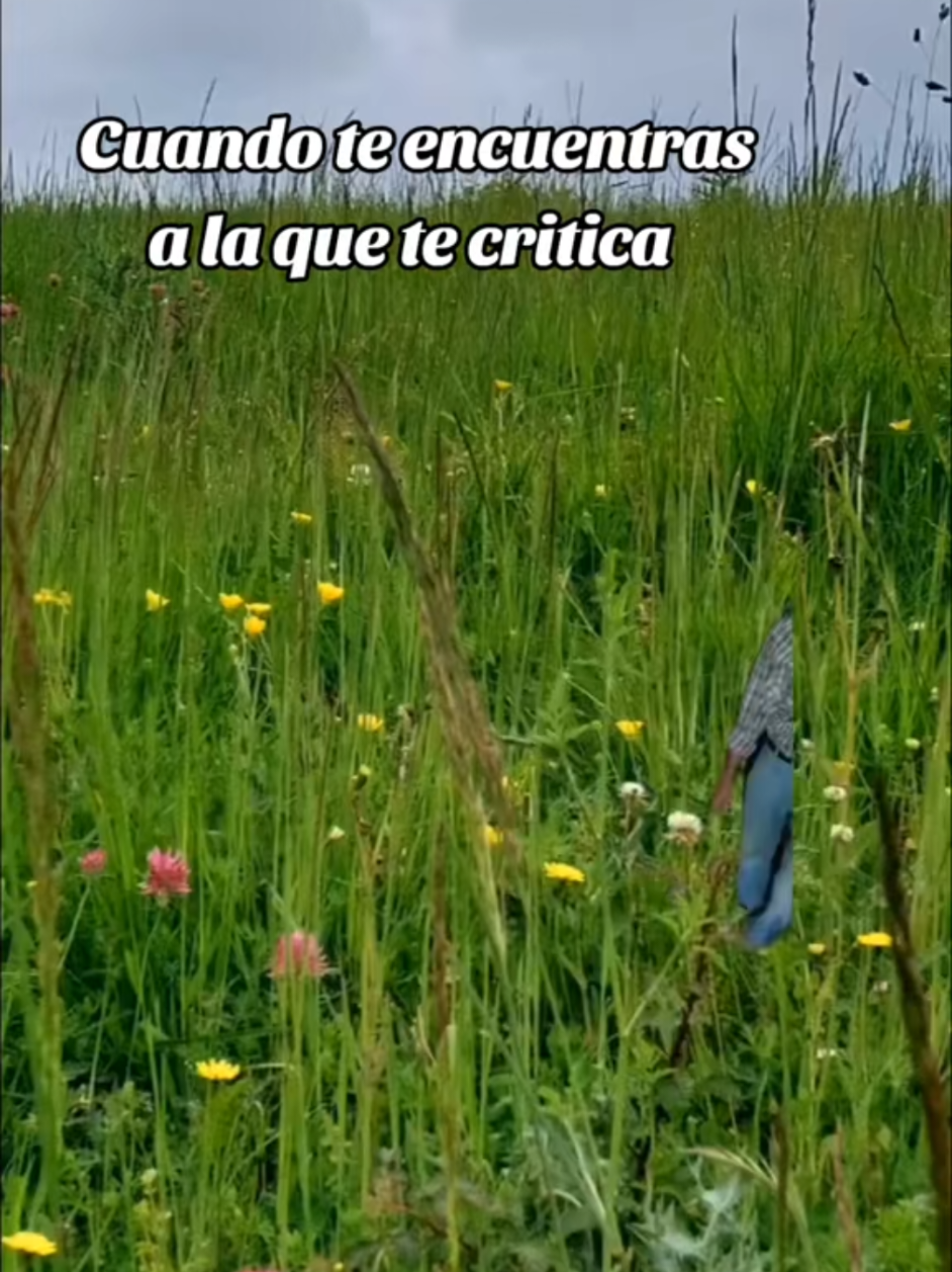 @Kaspi78 Yolanda